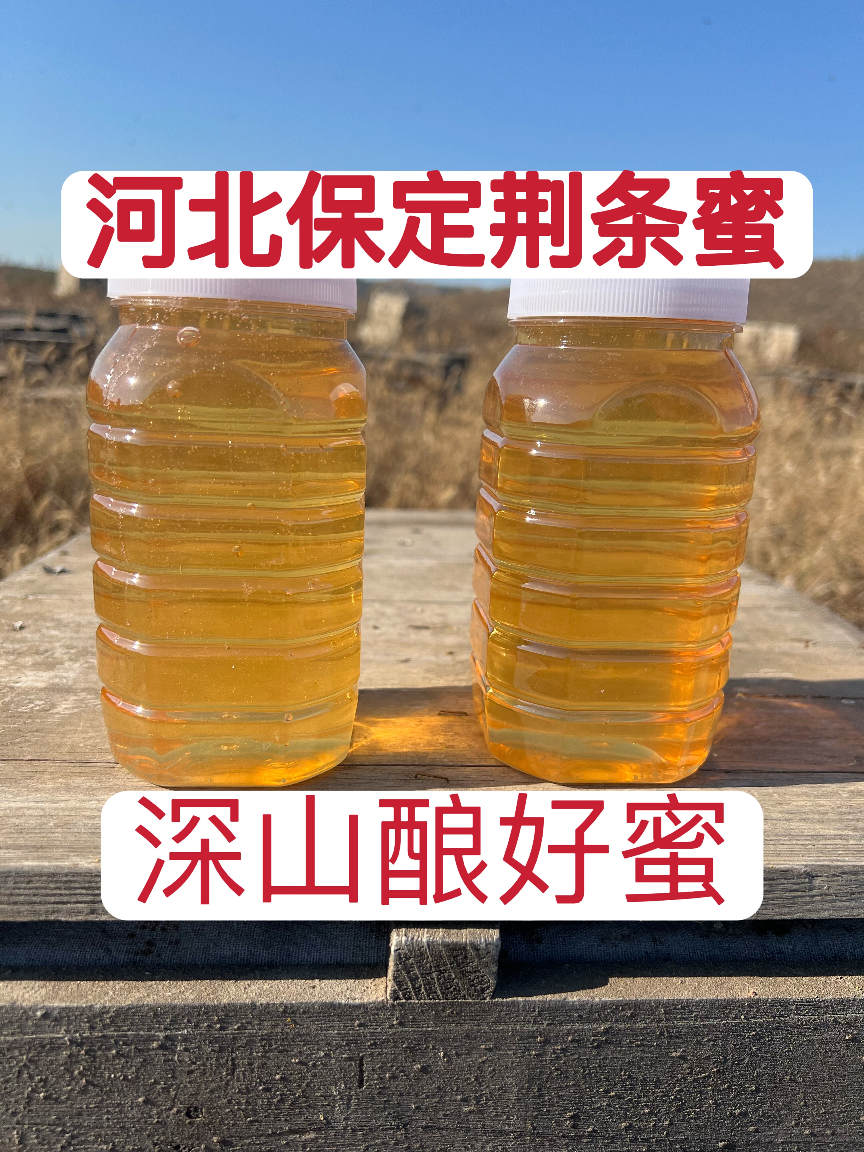 深山农家蜂蜜农家纯蜂蜜农家自产天然纯正野生百花蜜蜂蜜荆花蜜