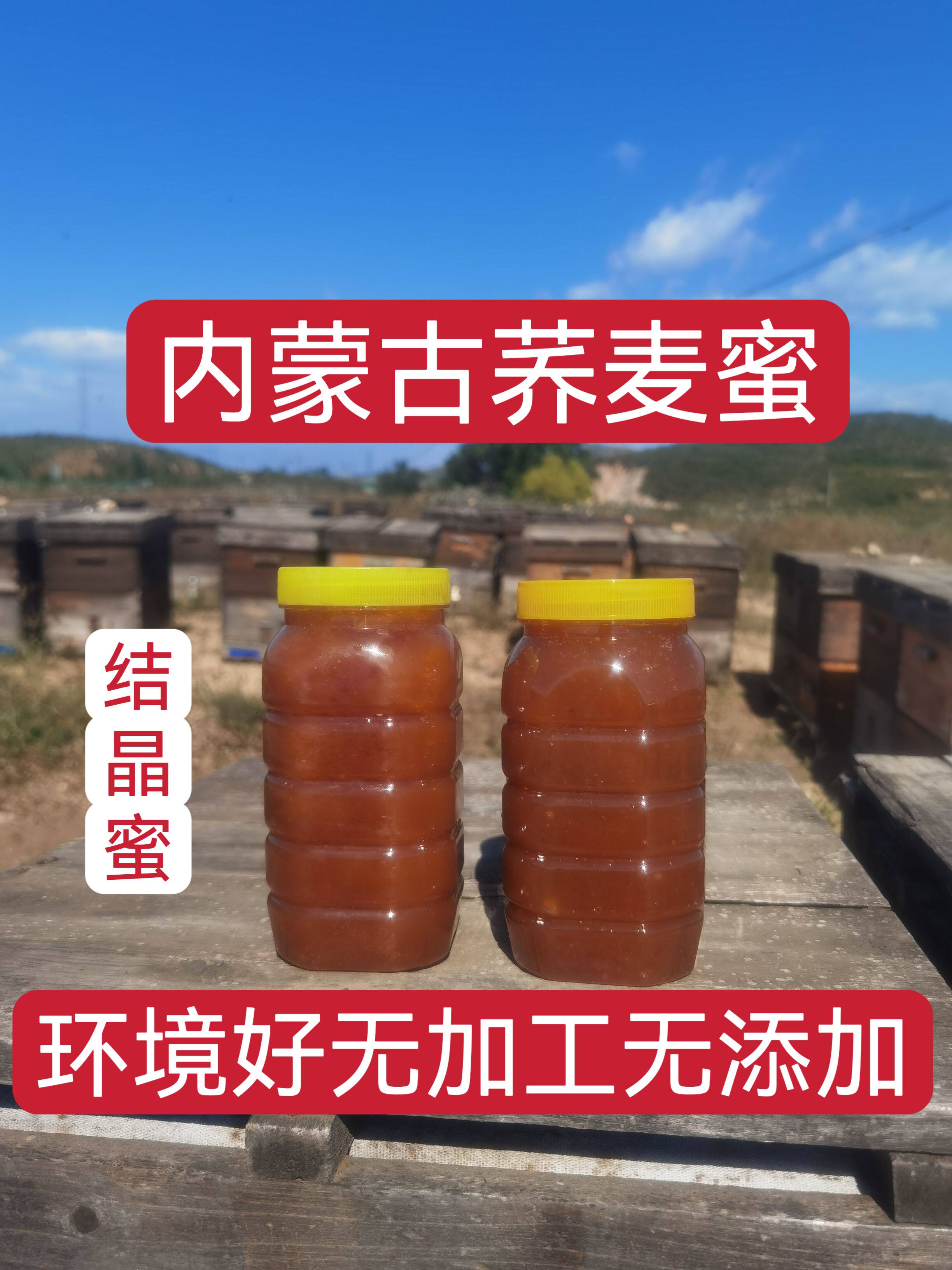 蜂农直销天然荞麦花蜂蜜无添加纯天然黑红荞麦花蜜臭臭味道1瓶2斤