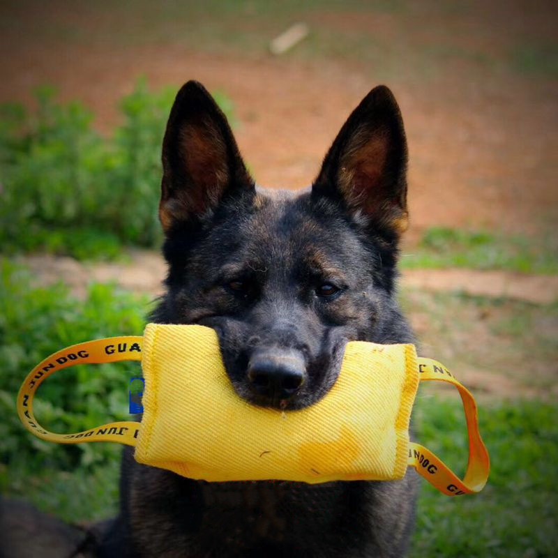 狗狗训练工具训犬咬包马犬用品宠物玩具户外互动扑咬装备训狗神器