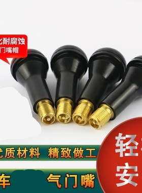 汽车真空胎气门嘴摩托车电动车轮胎气门直嘴自行车胎PVR50气嘴芯