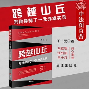 2020新书 以讲故事形式 办案实录 丁一元 刑辩律师丁一元 解读刑辩大律师30年经验法则和心路历程 正版 刑事实务办案思维 跨越山丘