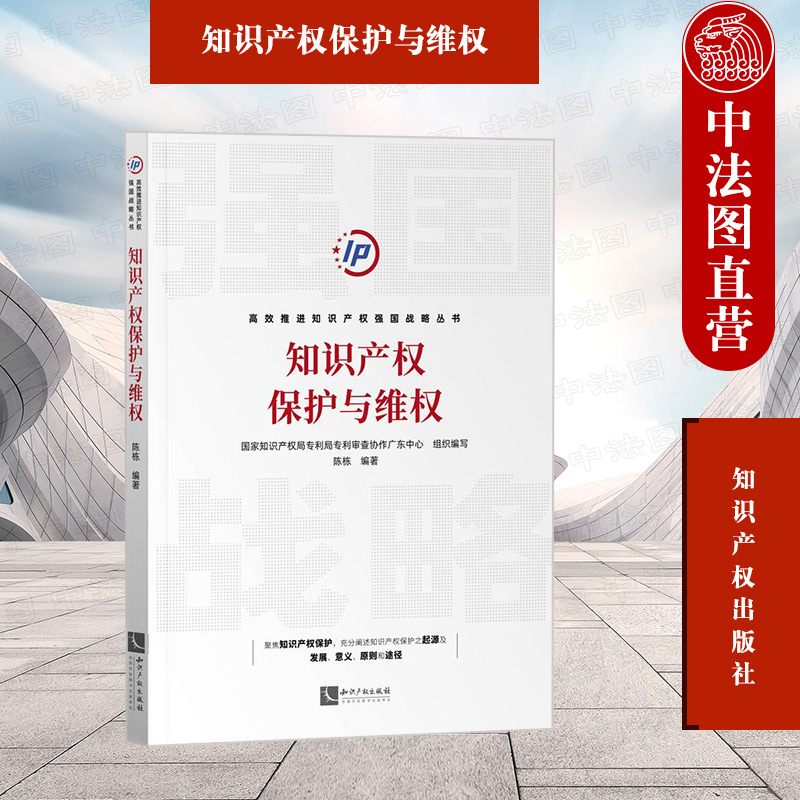 正版 知识产权保护与维权 陈栋 知识产权保护制度 专利行政司法保护侵权纠纷 海外知识产权维权 专利代理从业人员参考书 知识产权