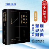 总则编 王利明等编 数据权益网络虚拟财产保护 2023新 意定监护制度 民法典法律实务 民法典新规则解读与适用 社 现货正版 法律出版