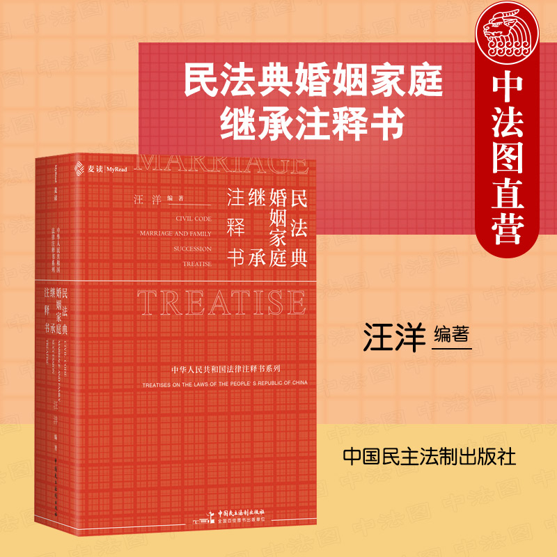 民法典?婚姻家庭继承注释书