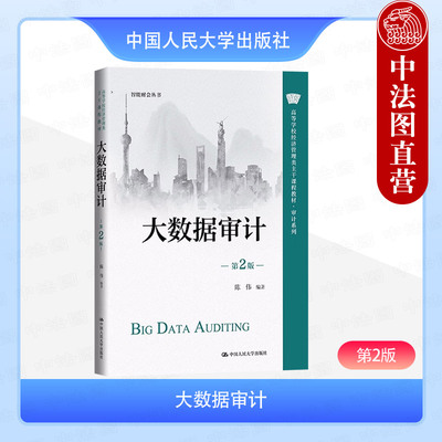 正版 大数据审计 第2版第二版 陈伟 大学本科考研经济管理类审计会计财务管理专业教科书审计从业人员培训教材 中国人民大学出版社