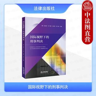 正版 国际视野下的刑事判决 布兰德 岳礼玲 郭烁 盗窃罪刑事案例判决撰写 刑事判决罪名认定刑罚理由差异 外国刑事司法制度 法律社