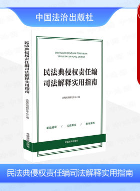 民法典侵权责任编司法解释指南