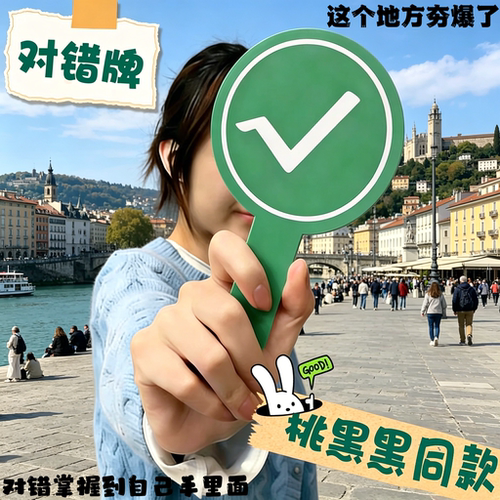 双面手持对错举牌应援棒教学用