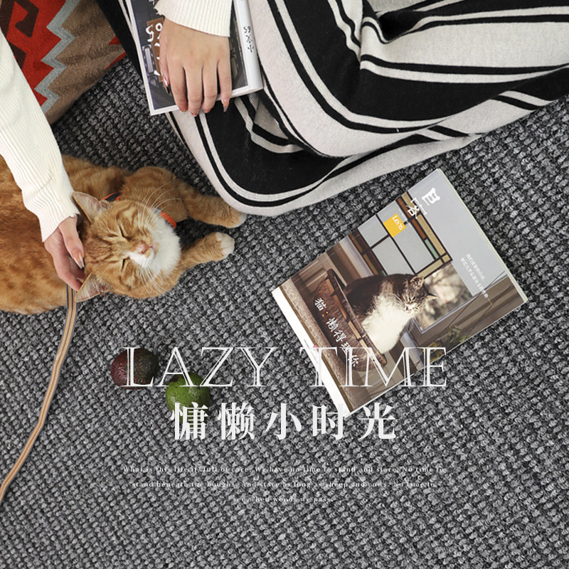 任意尺寸定制客厅书房地毯猫豆