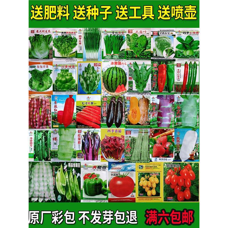 Vegetable seeds sown in all seasons, balcony, farmhouse cou