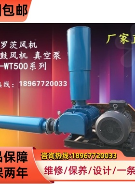 三叶罗茨鼓风机SR3kw11kw小龙虾对虾定制章丘45kw厂家高压LT型SSR