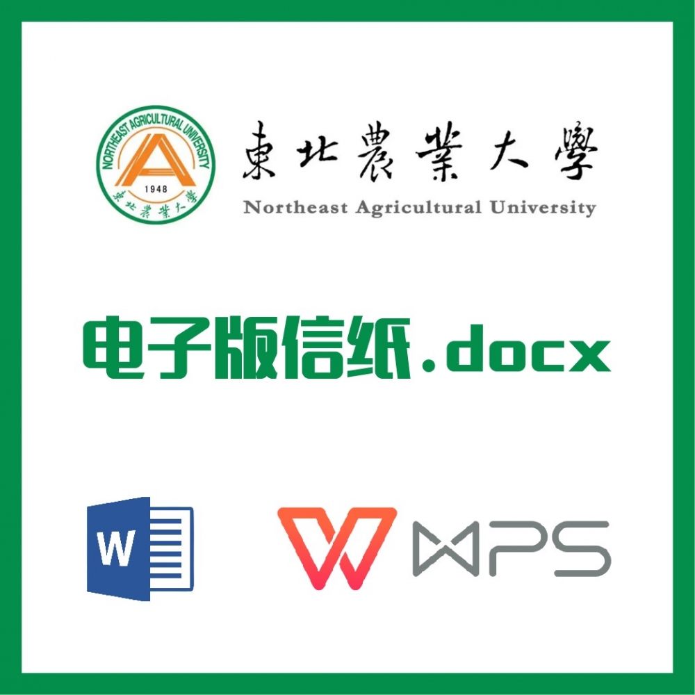 东北农业大学信纸草稿纸东北农大信纸草稿纸word版docx电子版pdf