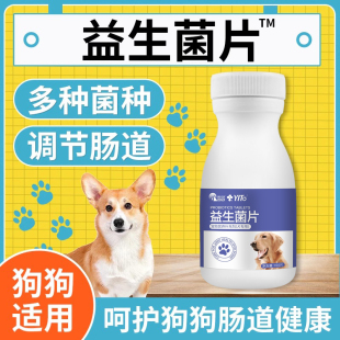 素 益生菌狗狗幼犬泰迪金毛狗狗肠胃宝益生菌调理肠胃道补充微量元