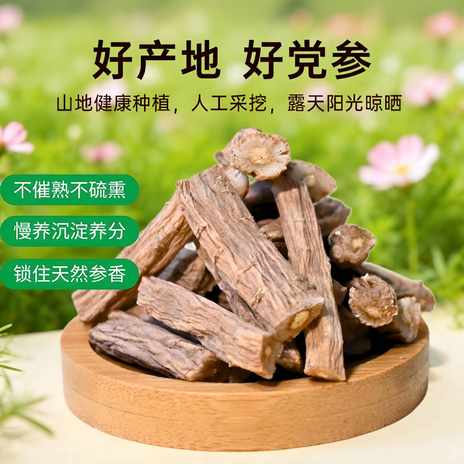 甘肃党参条段无硫熏好党参图片