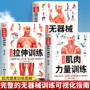 运动解剖学肌肉图谱肌肉松解动作指导 正版 无器械力量训练彩色图谱 拉伸训练彩色图谱 健美训练健身书籍 肌肉力量训练彩色图谱
