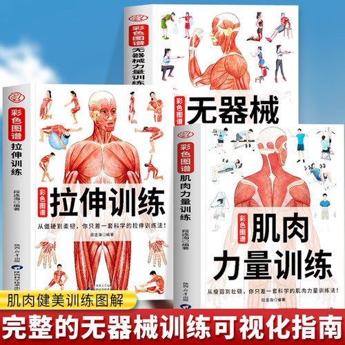 正版 肌肉力量训练彩色图谱+拉伸训练彩色图谱+无器械力量训练彩色图谱 运动解剖学肌肉图谱肌肉松解动作指导 健美训练健身书籍