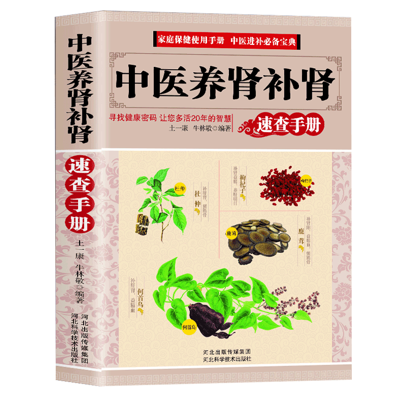 中医养肾补肾固本肾好不衰老