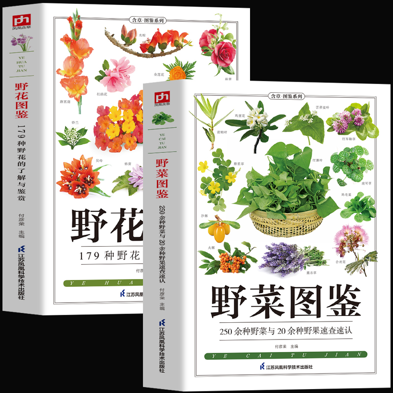 【铜版纸】全2册野菜图鉴+野花图鉴常见花卉园林植物识别图鉴野外野菜识别速查图鉴植物特性药学图鉴野生植物花草识别图解食疗书籍 书籍/杂志/报纸 养花书籍 原图主图