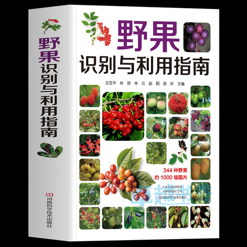 野果识别与利用指南书正版书籍