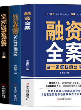 正版全4册 融资全案+民营企业融资全程操盘及案例解析+资本运作30种模式与实战解析+从天使投资到IPO 民营经济学商业模式新生代书