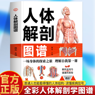 人体解剖图谱正版 人体结构彩色图谱临床医学肌肉骨骼全彩局部解剖学人体骨骼结构书生理学书籍 奈特人体解剖学图谱结构和功能图谱