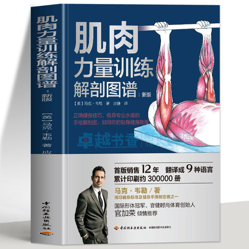 肌肉力量训练解剖图谱 马克 韦嘞著正确健身技巧手绘解剖图如同你的贴身健身教练精准掌控每块肌肉科学健身增肌训练计划书