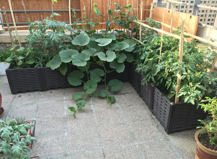 加深树脂种植箱 阳台种菜盆 长方形 家庭菜园屋顶 种树 葡萄 盆景