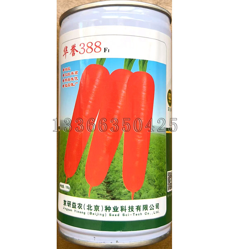 华誉388胡萝卜种子 春秋栽培中早熟无青肩耐抽苔胡萝卜籽蔬菜种子