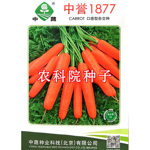 中誉1877胡萝卜种子 春秋播水果型胡萝卜籽可榨汁口感好蔬菜种子