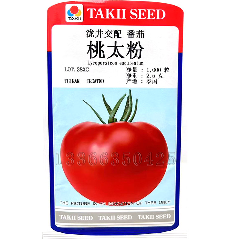 桃太粉番茄种子 春秋播桃太郎系列粉果水果西红柿种子酸甜口感好