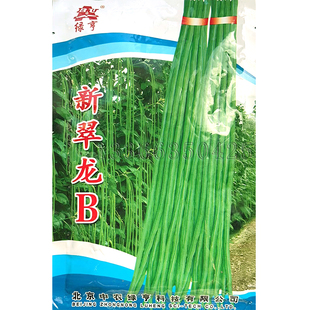 新翠龙B豇豆种子 春夏秋露地播翠绿色条粗肉厚耐老化豆角蔬菜种子