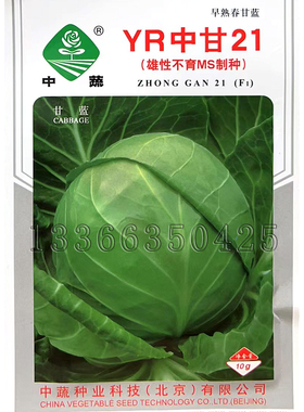 YR中甘21甘蓝种子 春播早熟圆形卷心菜圆白菜种子口感好蔬菜种子
