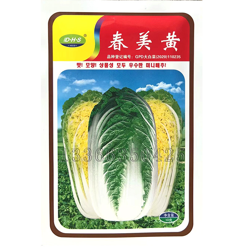 春美黄娃娃菜种子 韩国进口春秋金黄心甜嫩白菜种子抗逆蔬菜种子