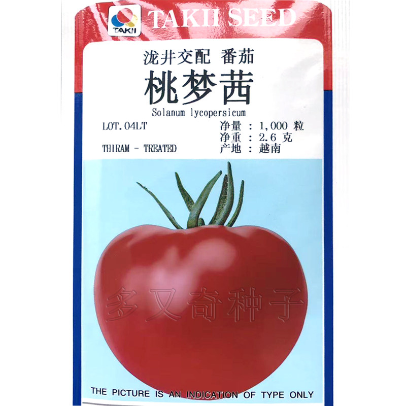 中蔬大果番茄种子抗病毒