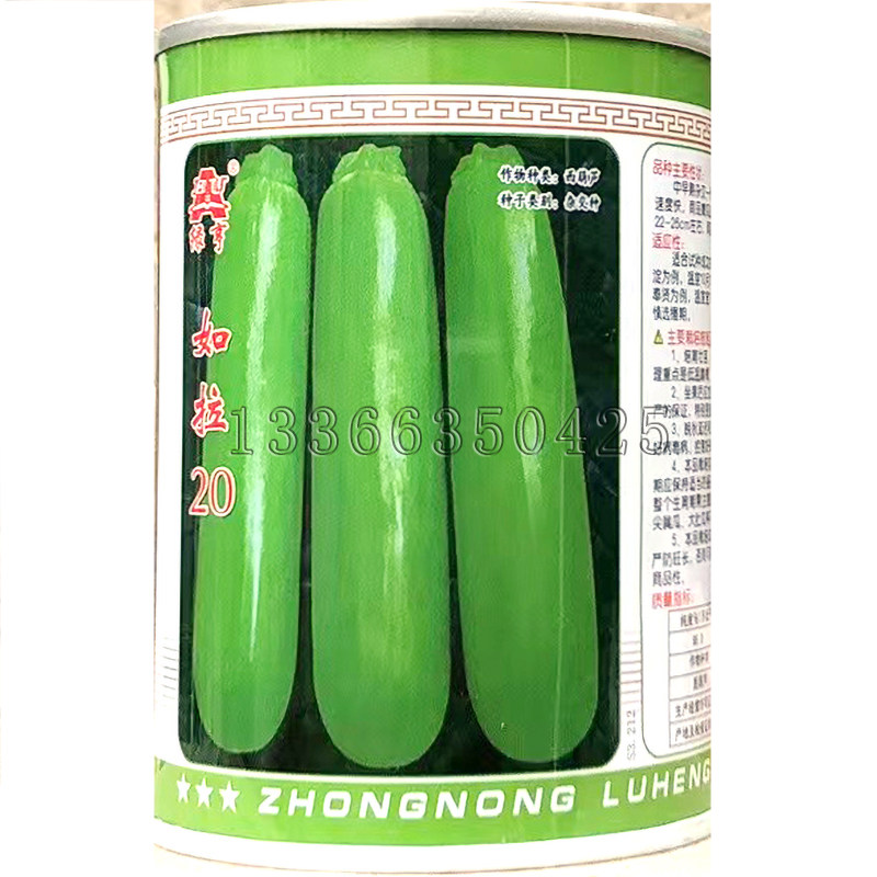 如拉20西葫芦种子 冬春棚室栽培翠绿油亮角瓜种子膨瓜快蔬菜种子