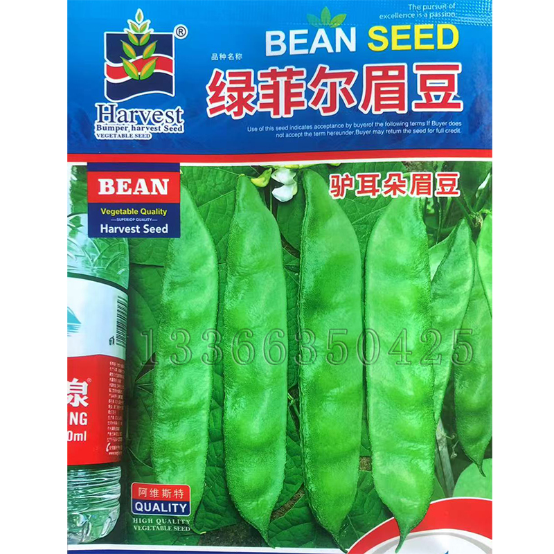 綠菲爾眉豆種子 秋播驢耳朵眉豆種子長綠扁豆結(jié)莢多纖維少蔬菜籽