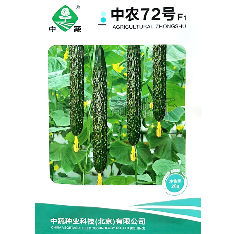 中农72号黄瓜种子 春秋棚室播中早熟浅绿瓤质脆味甜青瓜蔬菜种子