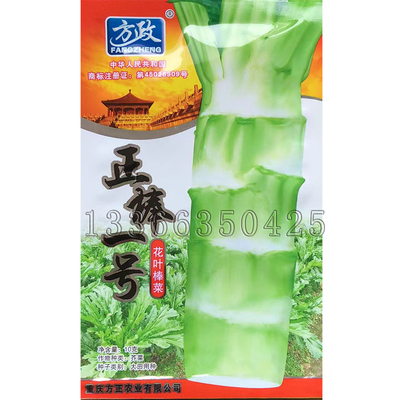 秋播花叶棒菜种子茎叶可食用