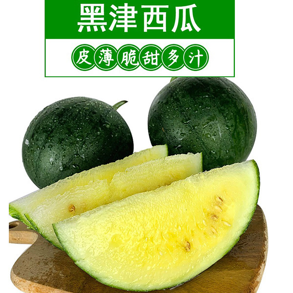 黑津西瓜种子  春秋早熟墨绿色金黄瓤皮薄松脆多汁高圆小水果种子
