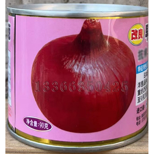 早生紫丰玉洋葱种子早生赤玉早熟紫彤紫扁圆葱头种子秋播蔬菜种子