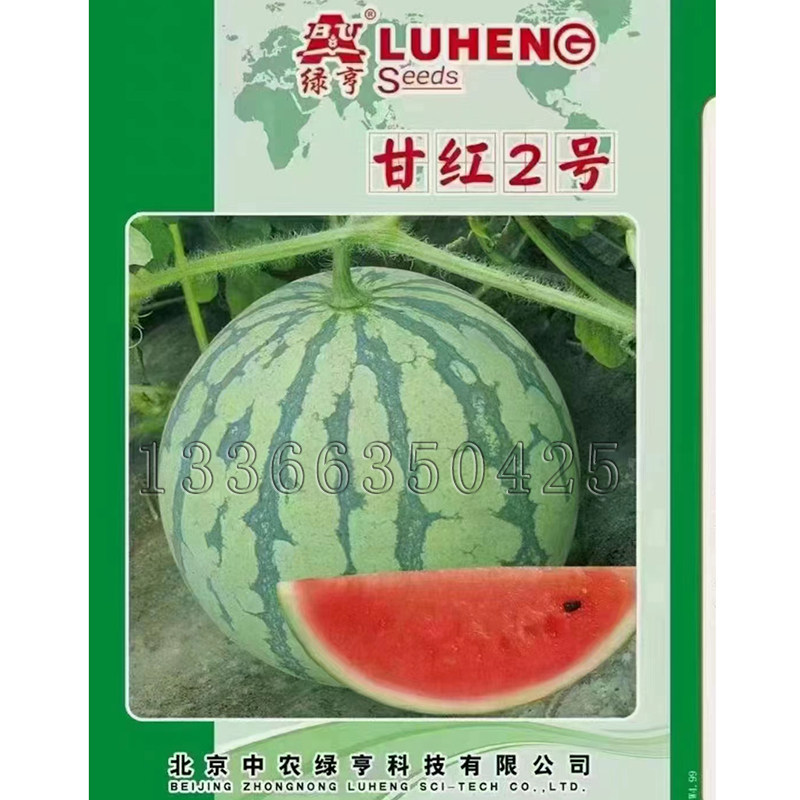甘红2号西瓜种子 春秋中熟皮薄桃红瓤脆甜多汁西瓜水果种子口感好