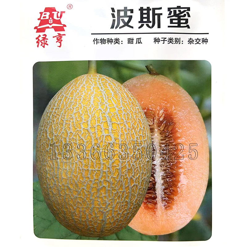 波斯蜜哈密瓜种子 春秋播黄皮红肉网纹哈密瓜籽质脆香甜水果种子