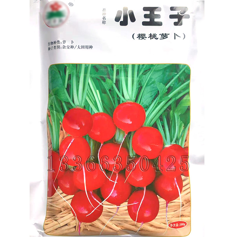 小王子樱桃萝卜种子 春夏秋三系杂交早熟迷你圆形红皮白肉萝卜籽
