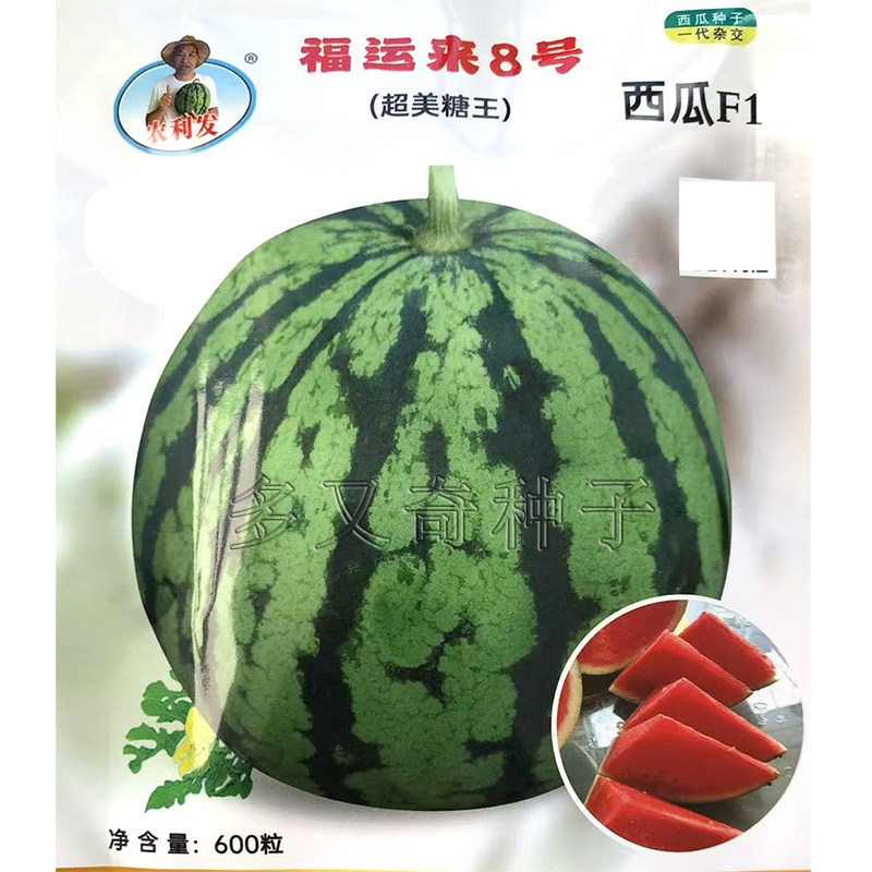 福运来8号超美糖王西瓜种子 春中早熟棚室露地圆形大红瓤脆爽多汁