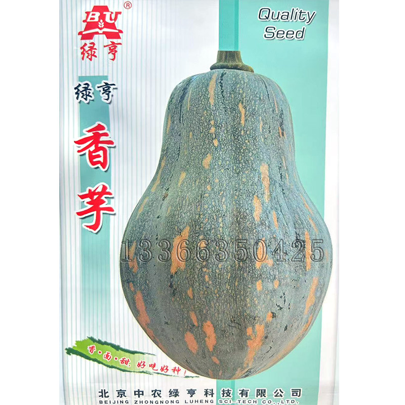 绿亨香芋南瓜种子  春秋播中早熟老南瓜籽肉质细腻味甜或有香芋味图片