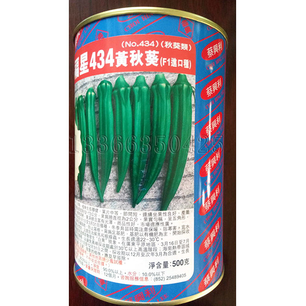 福星434黄秋葵种子 春秋播绿秋葵种子深绿色节间短羊角豆蔬菜种子