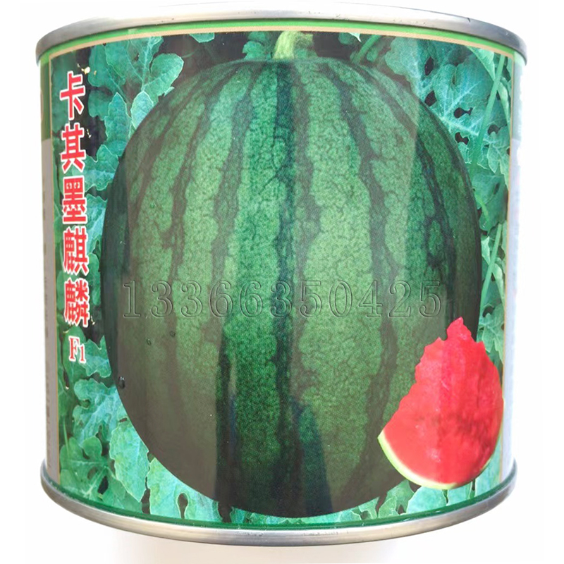 墨麒麟西瓜种子 春播球形墨绿色红瓤有籽西瓜甜脆多汁不空心倒瓤