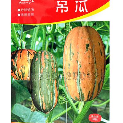 吊瓜种子 春播特色菜瓜种子观赏食用圆形或圆柱形奇瓜异果蔬菜籽