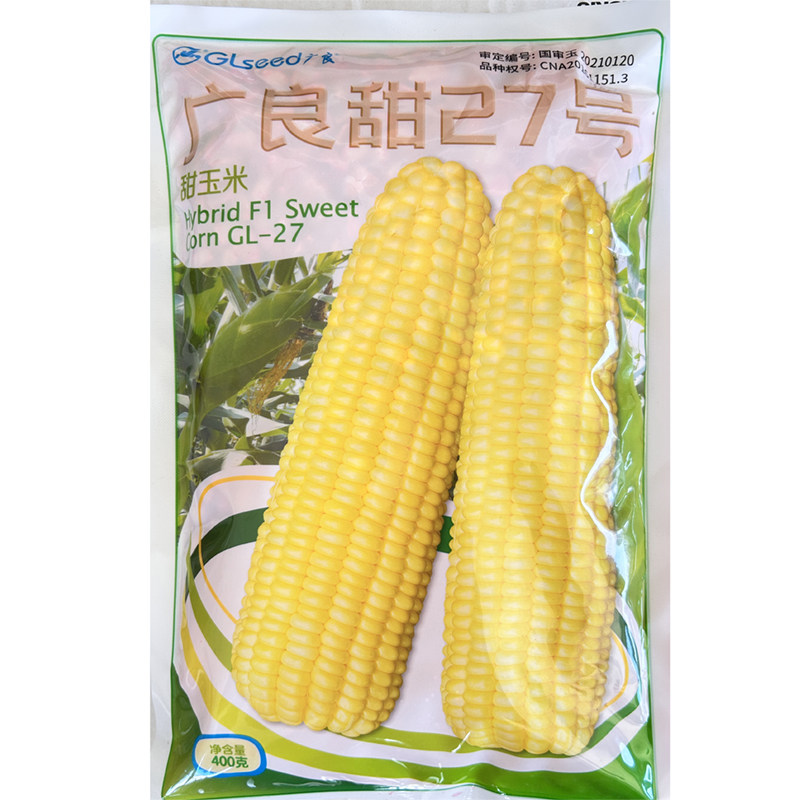 广良甜27号甜玉米种子 东南西南地区春播纯黄水果玉米籽大棒抗病