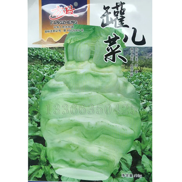罐儿菜种子  秋播宽柄芥菜种子茎皮青白肉白色茎叶均可食用蔬菜籽